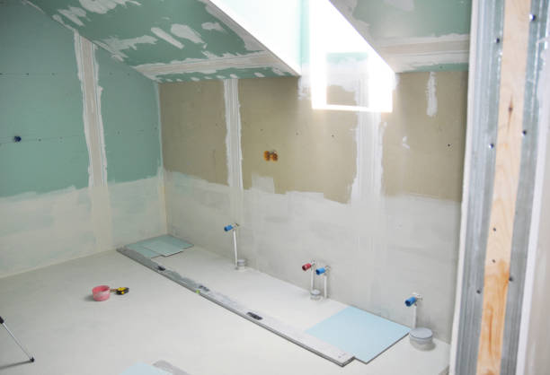 Best Mold Odor Removal Services  in New Carlisle, IN