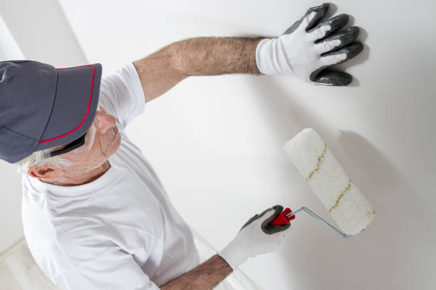 Best Basement Mold Removal  in New Carlisle, IN