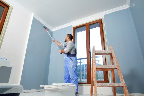 Best Environmental Consulting for Mold Prevention  in New Carlisle, IN