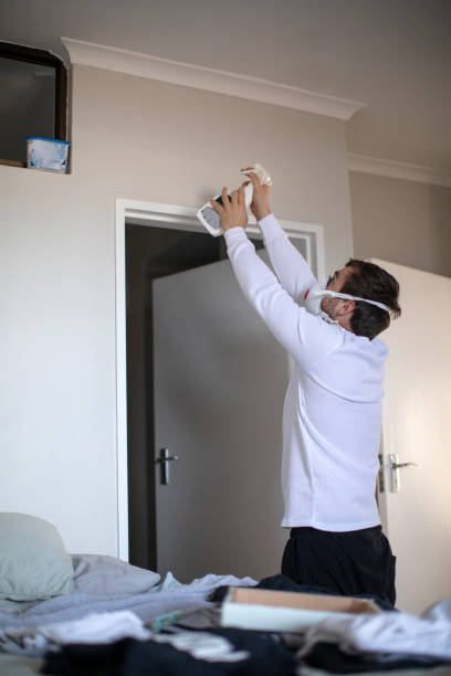 Best Mold Documentation for Insurance Claims  in New Carlisle, IN