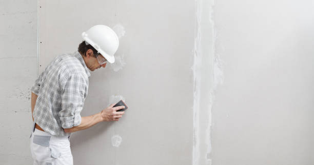 Best Emergency Mold Remediation  in New Carlisle, IN