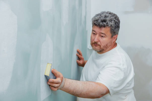 Best Asbestos and Lead Testing During Mold Inspection  in New Carlisle, IN