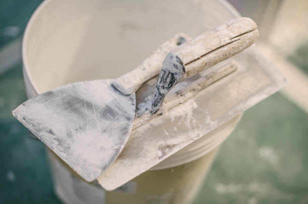 Best Air Quality Testing for Mold Spores  in New Carlisle, IN